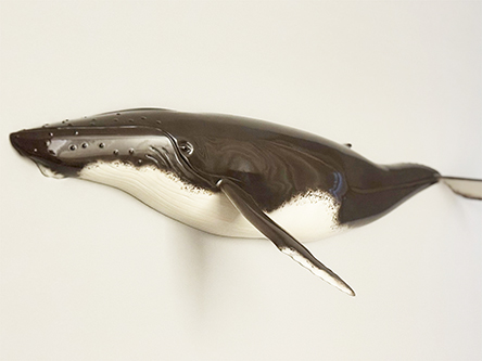 Glen Tinkler  Humpbacks